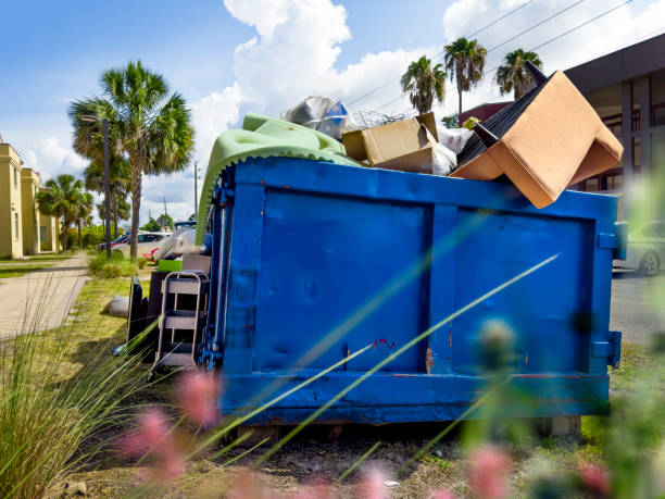 Yard Cleanup Services in St Paul, NE